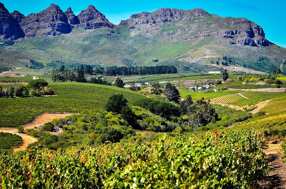 Wine Regions of the World – South Africa