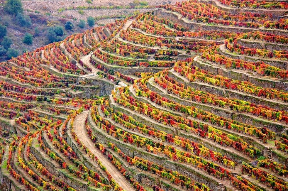 Wine Regions of the World – Portugal