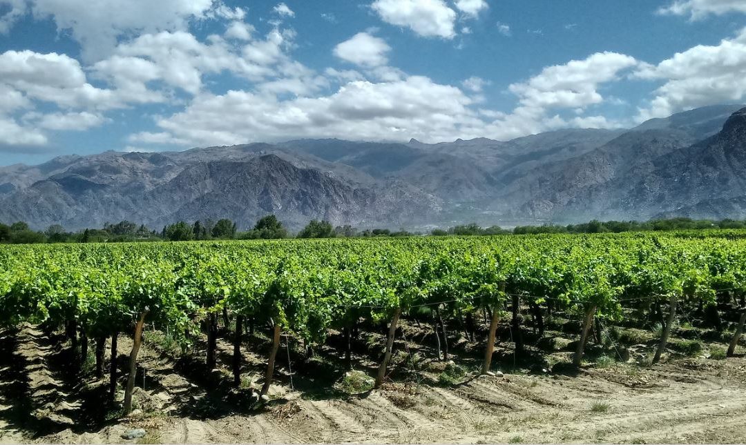 Wine Regions of the World – Argentina