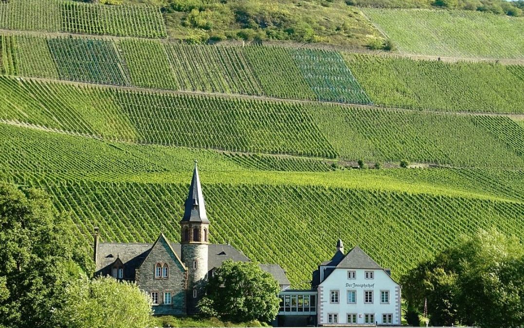 Wine Regions of the World – Germany